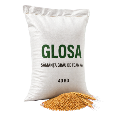Sămânță grâu de toamnă Glosa - sac 40 kg